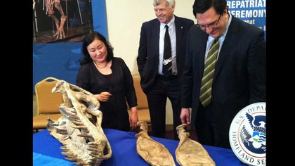 The dinosaur skeleton that sparked an international custody battle began its journey home Monday, as Mongolian officials formally took possession of the fossilized bones of the T. rex-like predator.